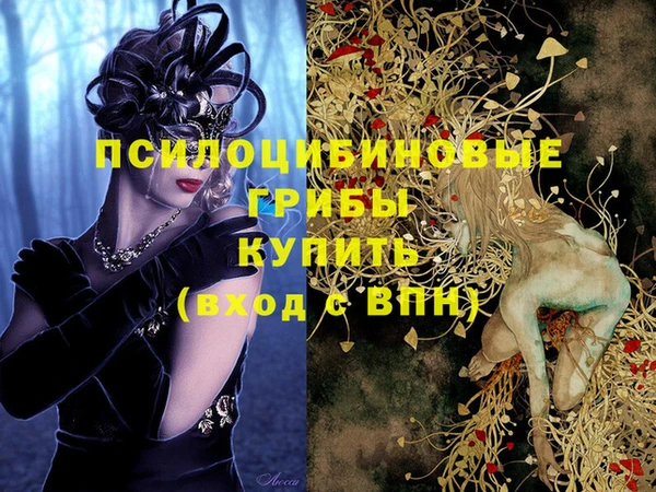 дмт Балабаново