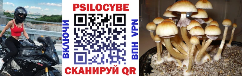 Псилоцибиновые грибы мухоморы  ссылка на мегу   Старая Русса 