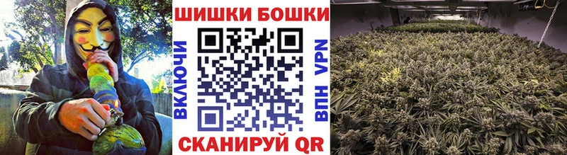 Каннабис планчик  купить наркотик  Старая Русса 